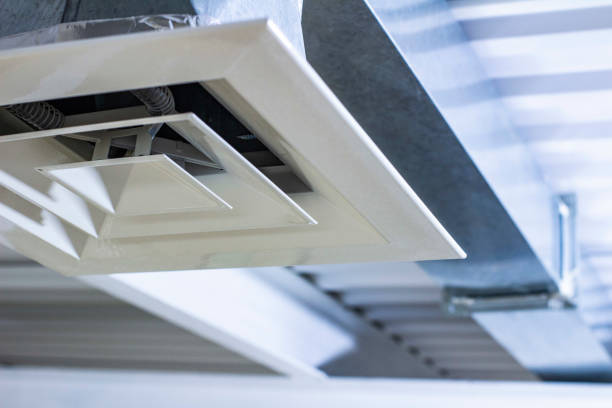 Best Air Vent Cleaning Services  in Boulevard Gardens, FL